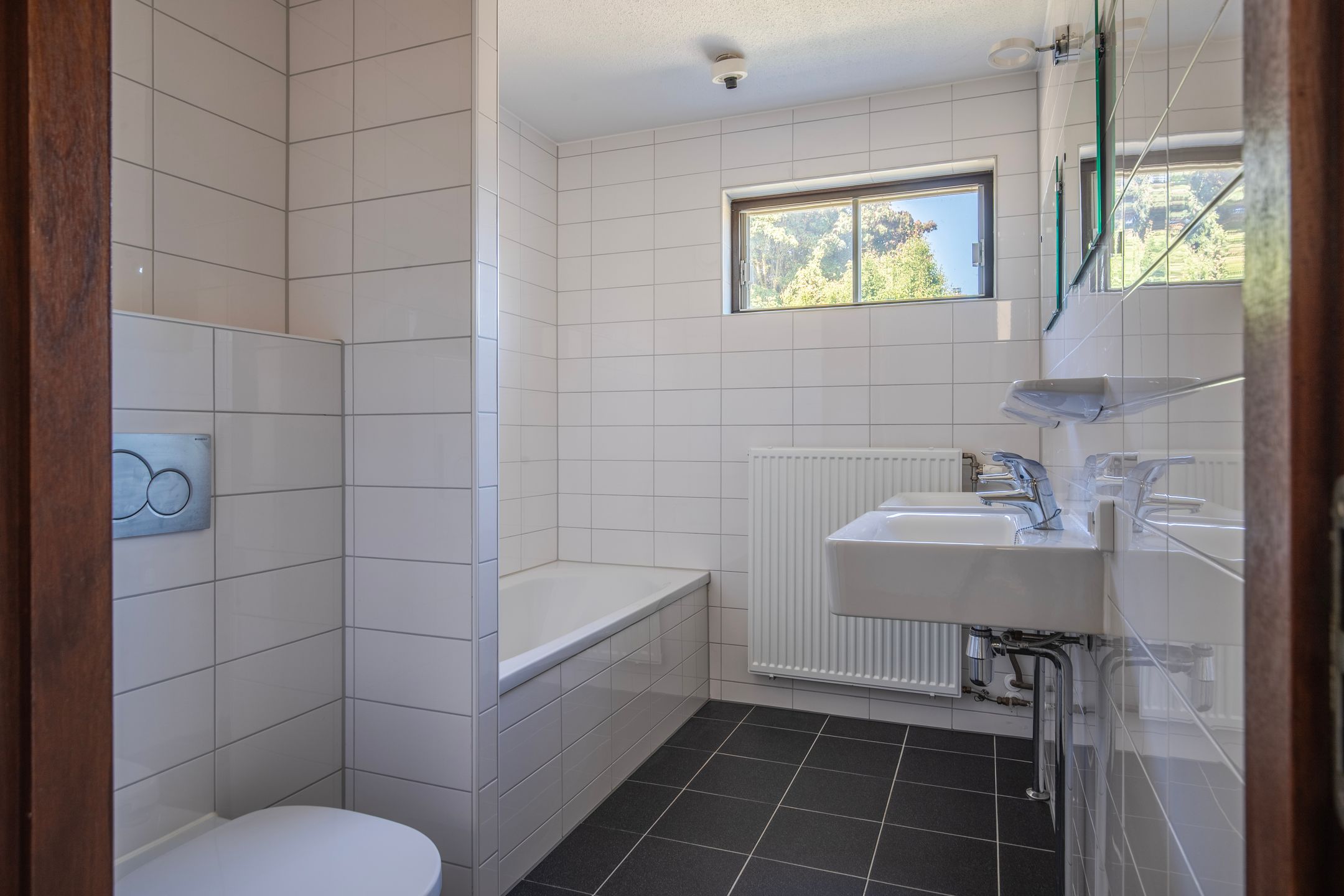 Foto 30 van de Els 2