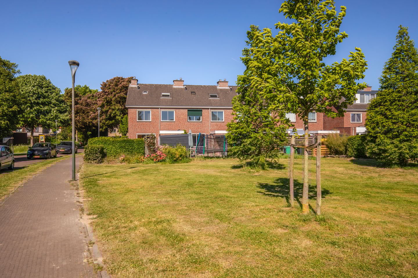 Foto 35 van de Els 2