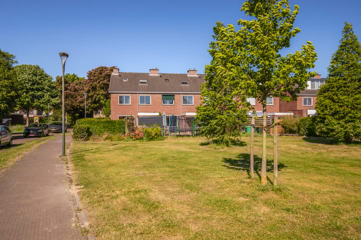 Foto 35 van de Els 2