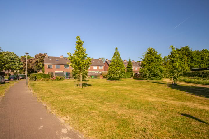 Foto 36 van de Els 2