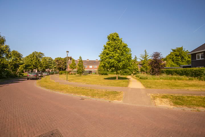 Foto 37 van de Els 2