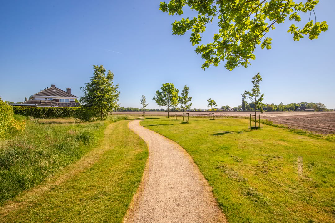 Foto 38 van de Els 2