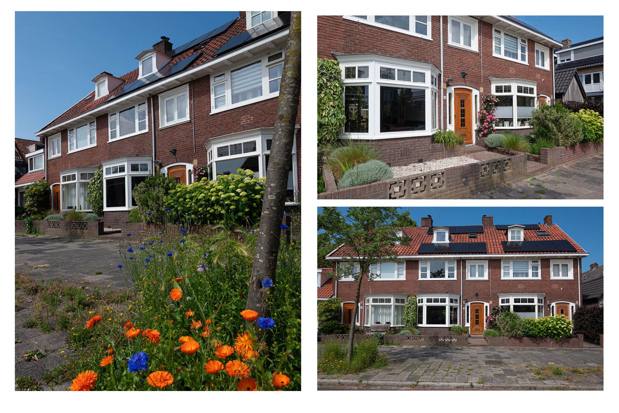 Foto 6 van Steenbokstraat 41