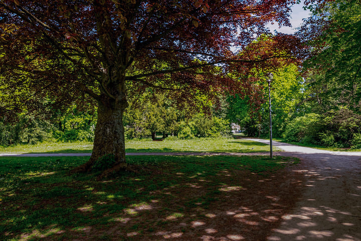 Foto 47 van Steenbokstraat 41