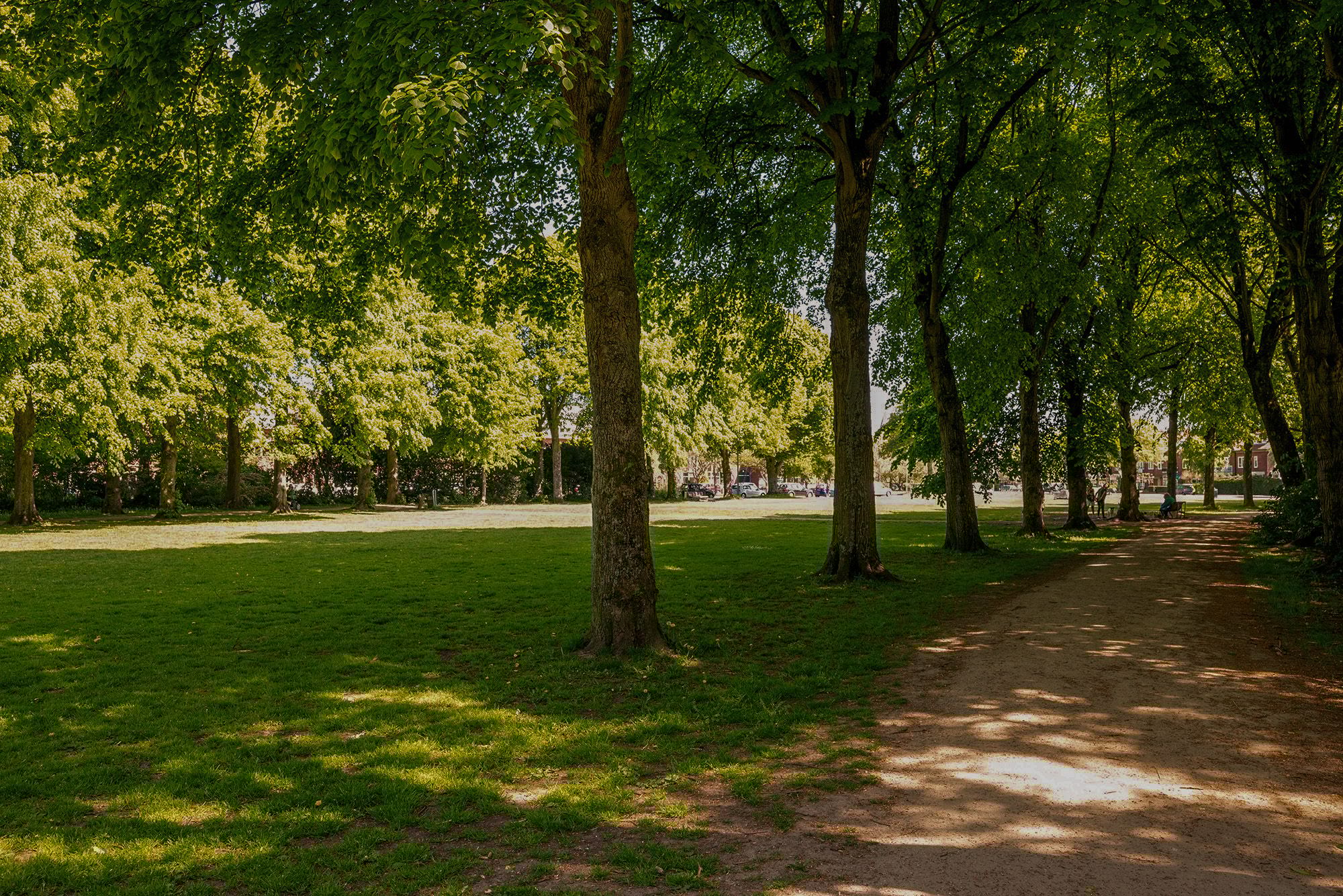 Foto 48 van Steenbokstraat 41