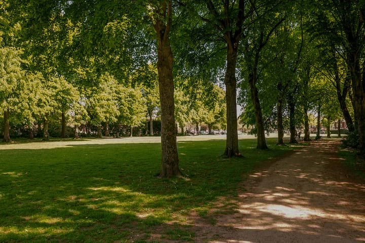 Foto 48 van Steenbokstraat 41