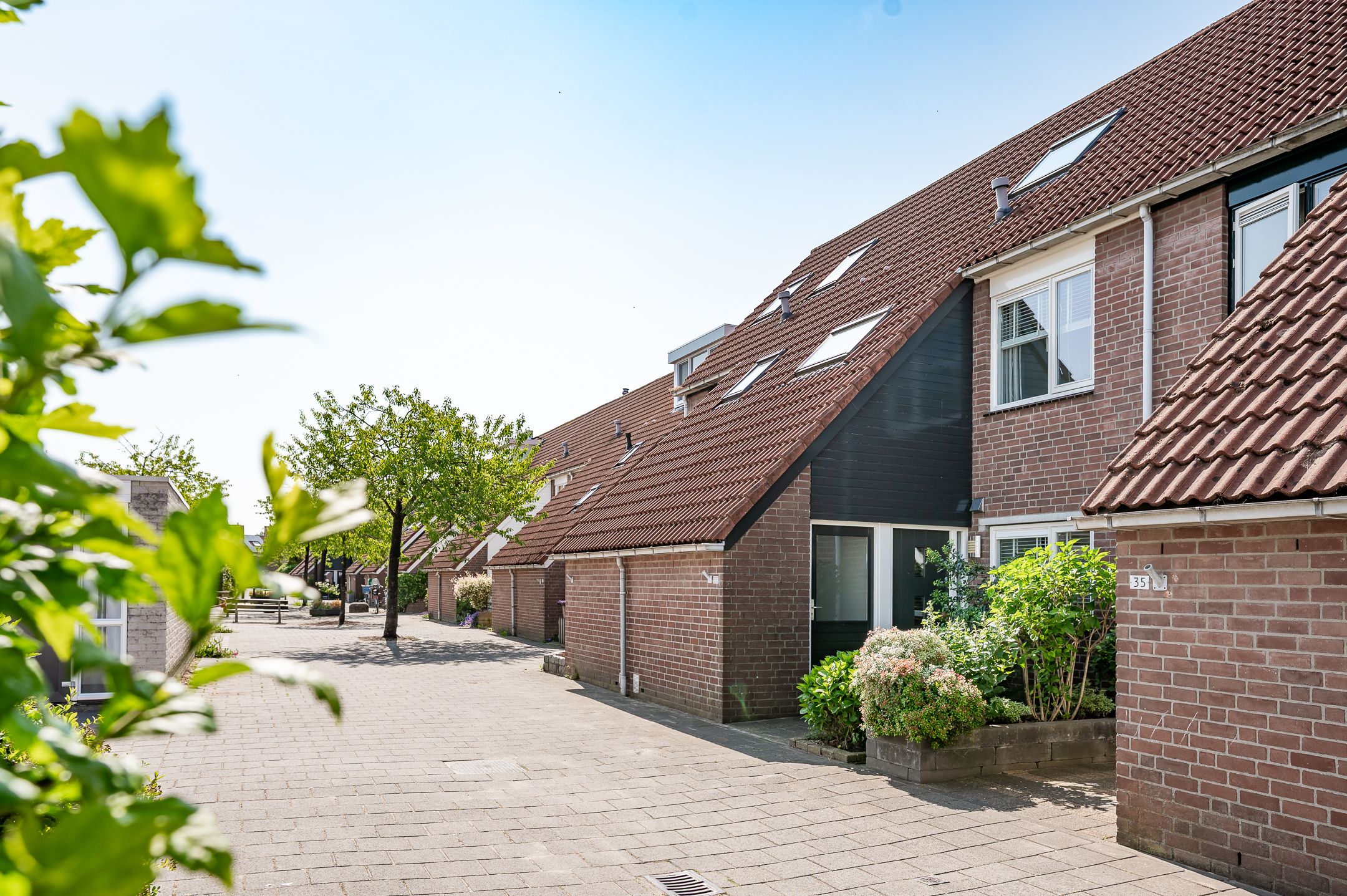 Photo 3 of Suze Groenewegstraat 33