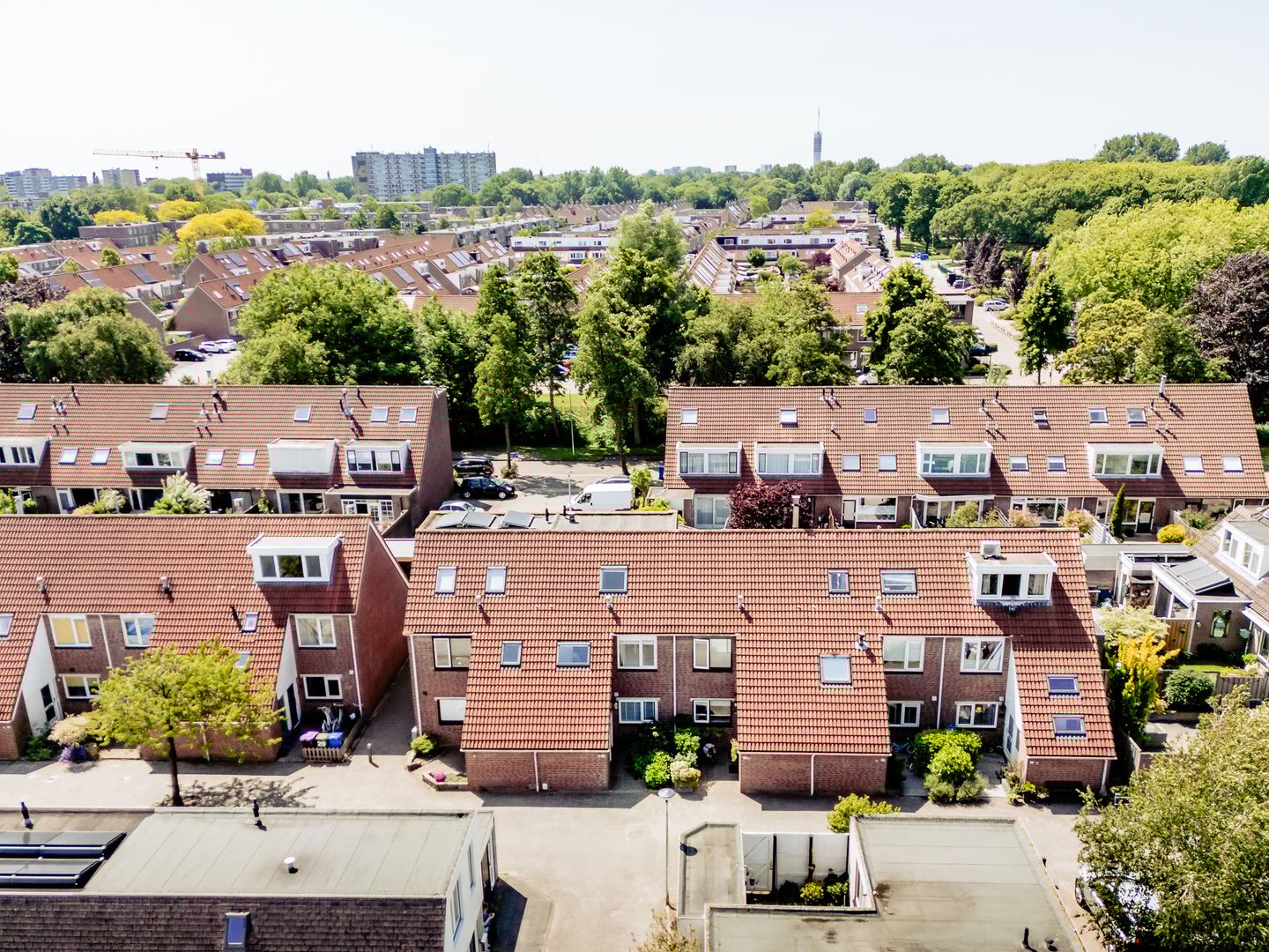 Photo 5 of Suze Groenewegstraat 33