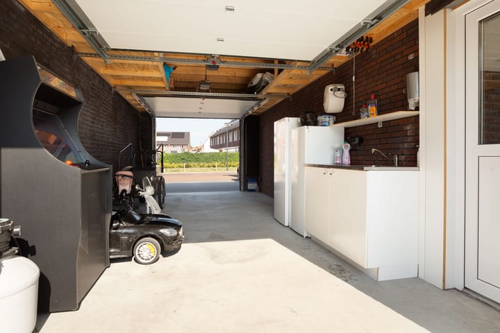 Foto 40 van Knotwilg 2