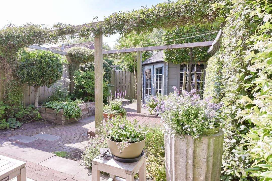 Photo 58 of Suze Groenewegstraat 33