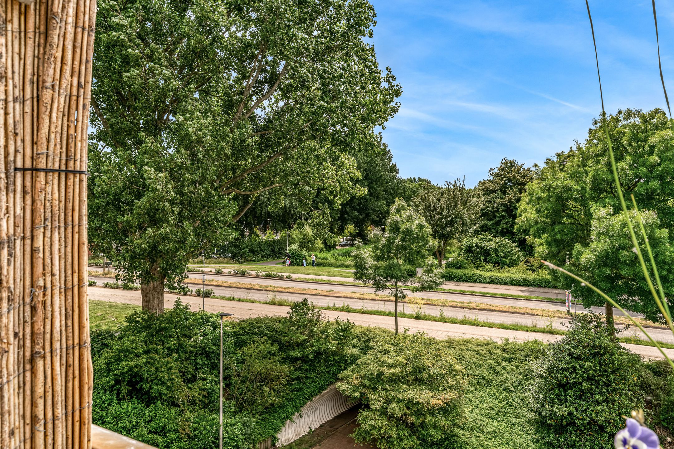 Foto 6 van Eikenhorst 423