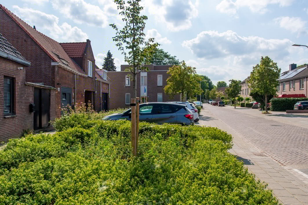 Photo 7 of Vendeliersstraat 51