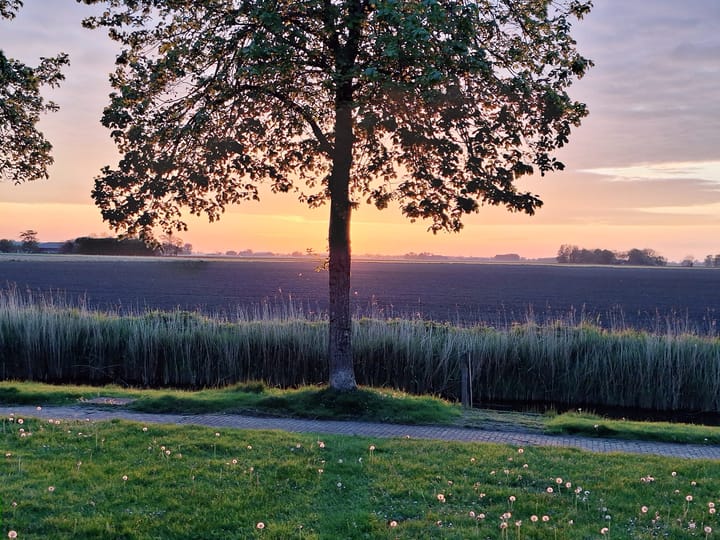 Foto 37 van Tuinbouwstraat 9-A