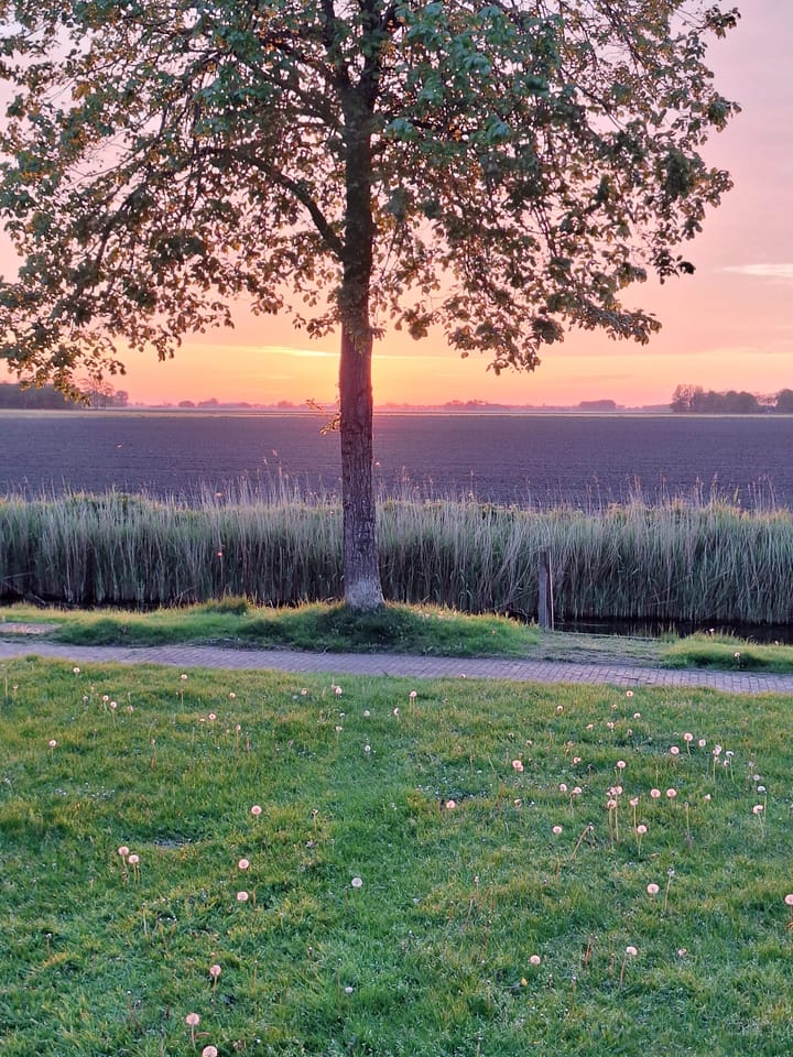 Foto 39 van Tuinbouwstraat 9-A