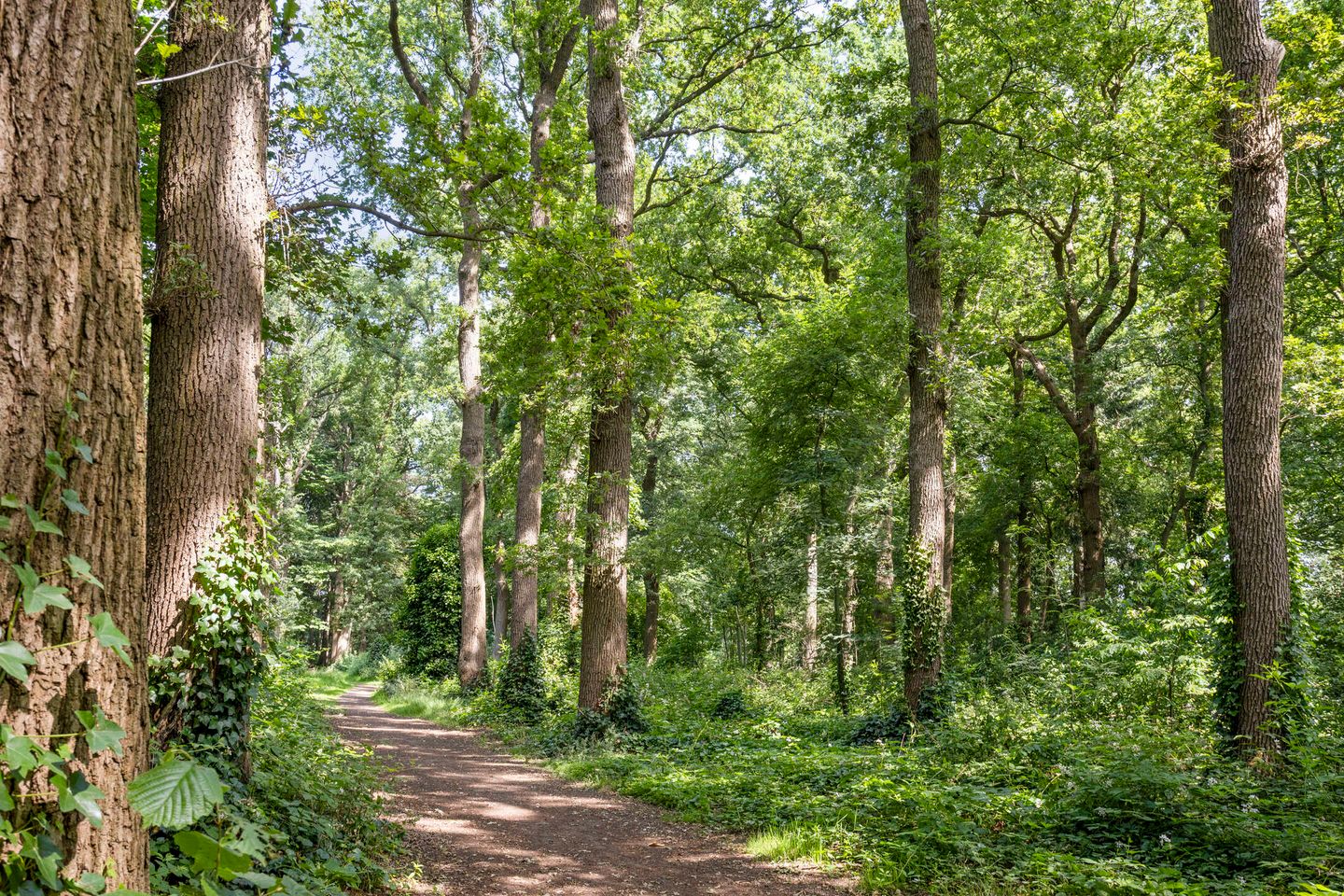 Foto 40 van Kasteeldreef 35-A