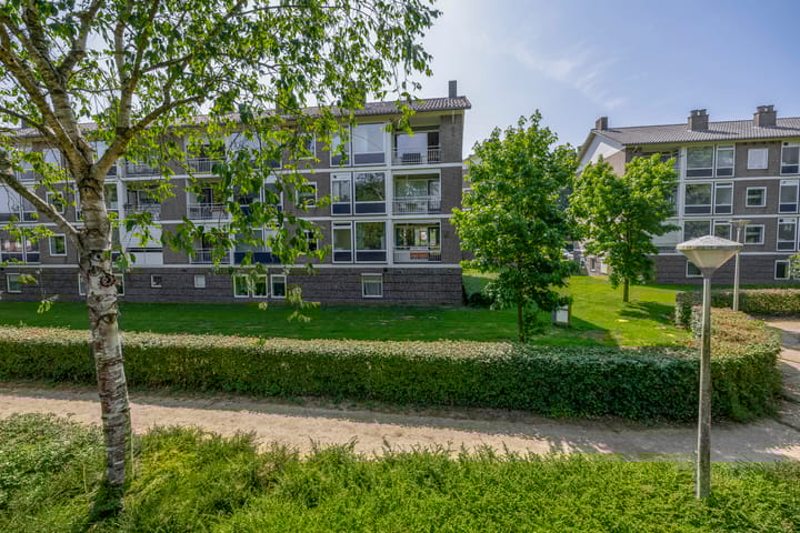 Foto 33 van Rodenburgweg 36