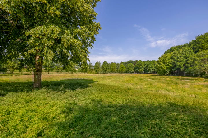 Foto 36 van Rodenburgweg 36