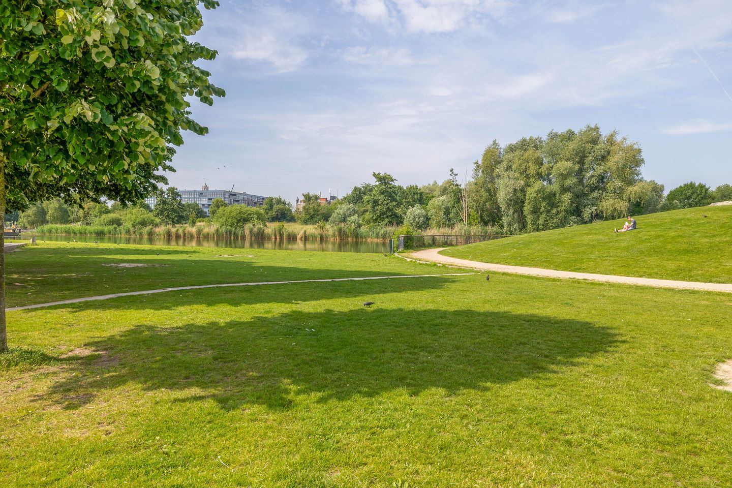 Photo 35 of Van Marumstraat 10