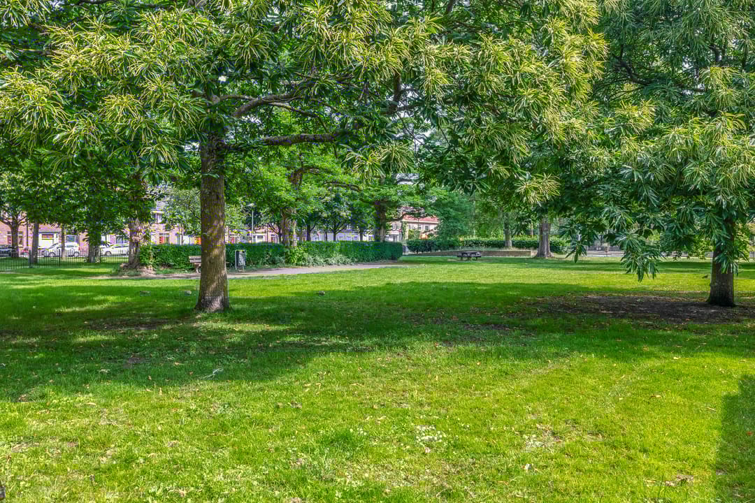 Photo 43 of Van Marumstraat 10