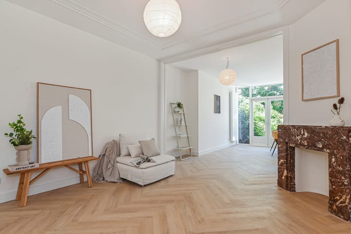 Foto 12 van Van Boetzelaerlaan 220