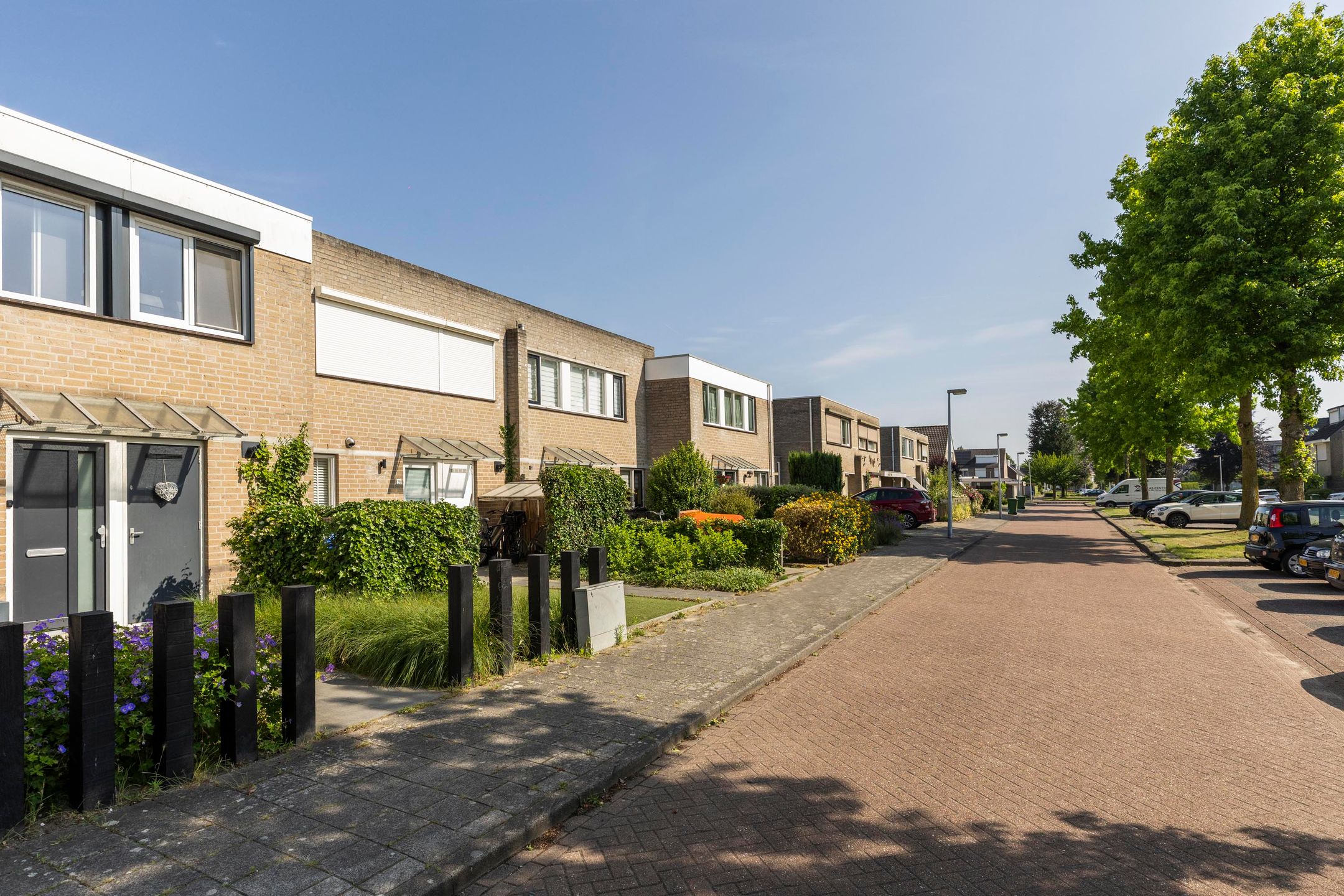 Foto 42 van Hermelijn 28