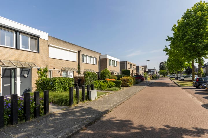 Foto 42 van Hermelijn 28