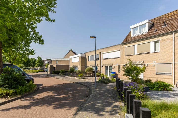 Foto 43 van Hermelijn 28