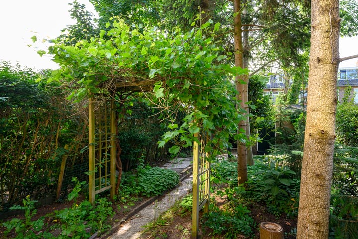 Foto 21 van Colenbranderstraat 18