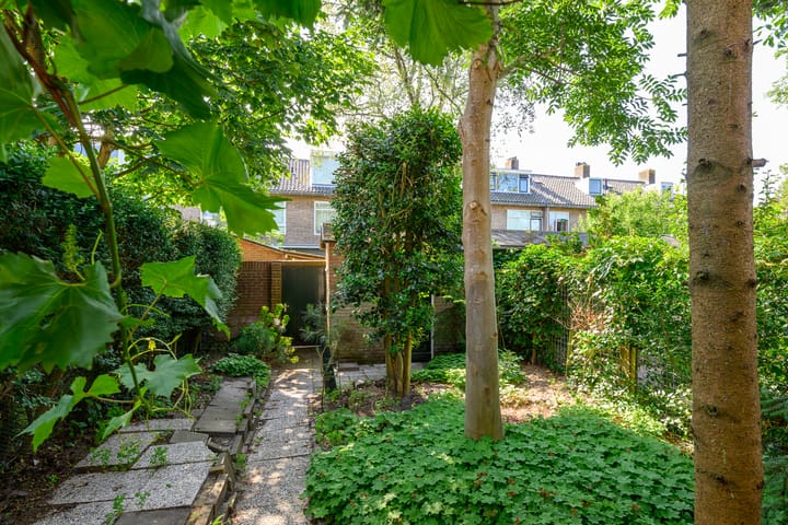 Foto 22 van Colenbranderstraat 18