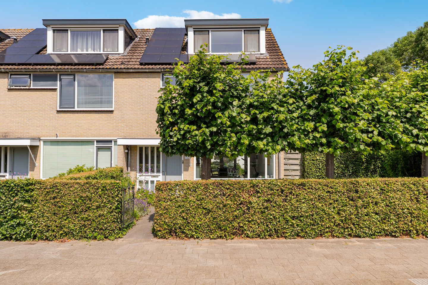 Foto 5 van Paladijnenweg 52