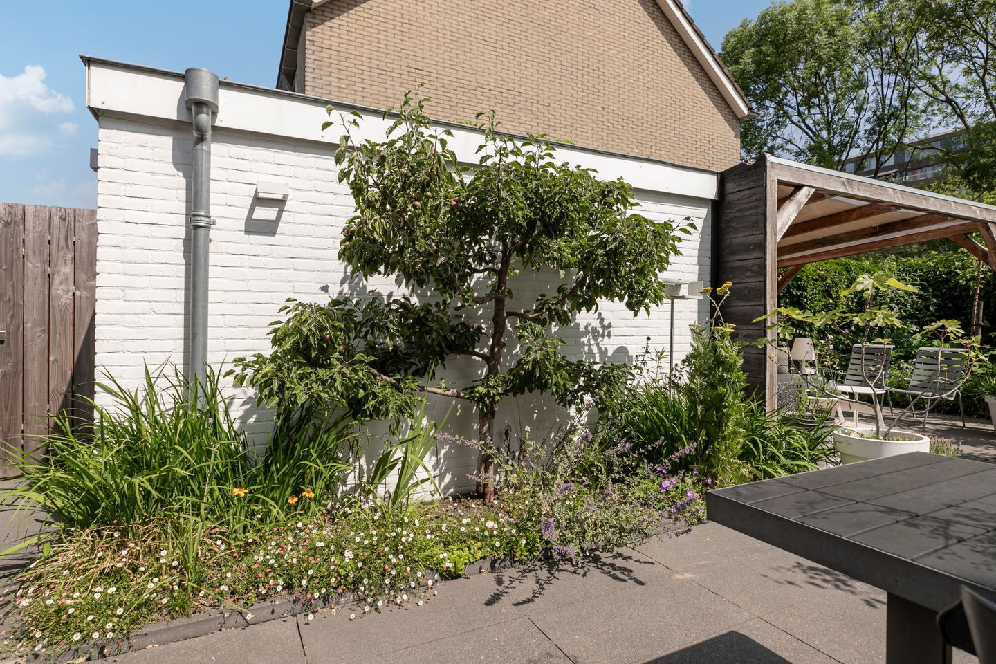 Foto 50 van Paladijnenweg 52