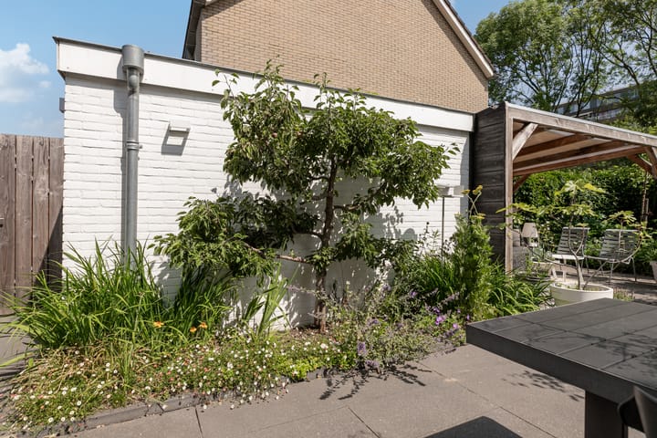 Foto 50 van Paladijnenweg 52