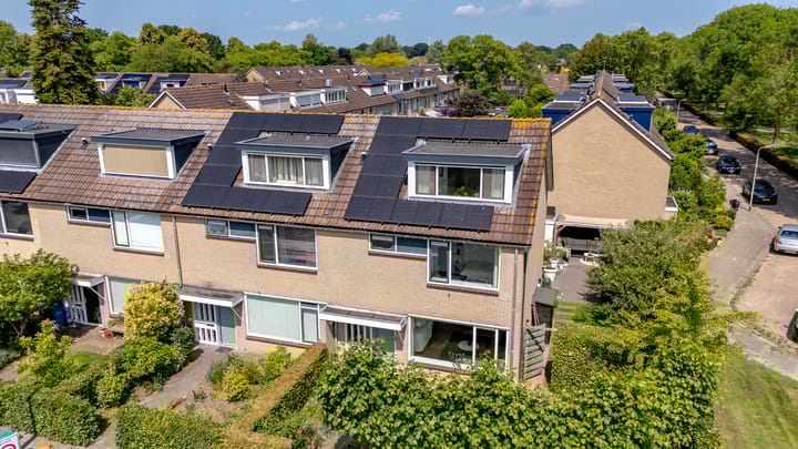 Foto 74 van Paladijnenweg 52