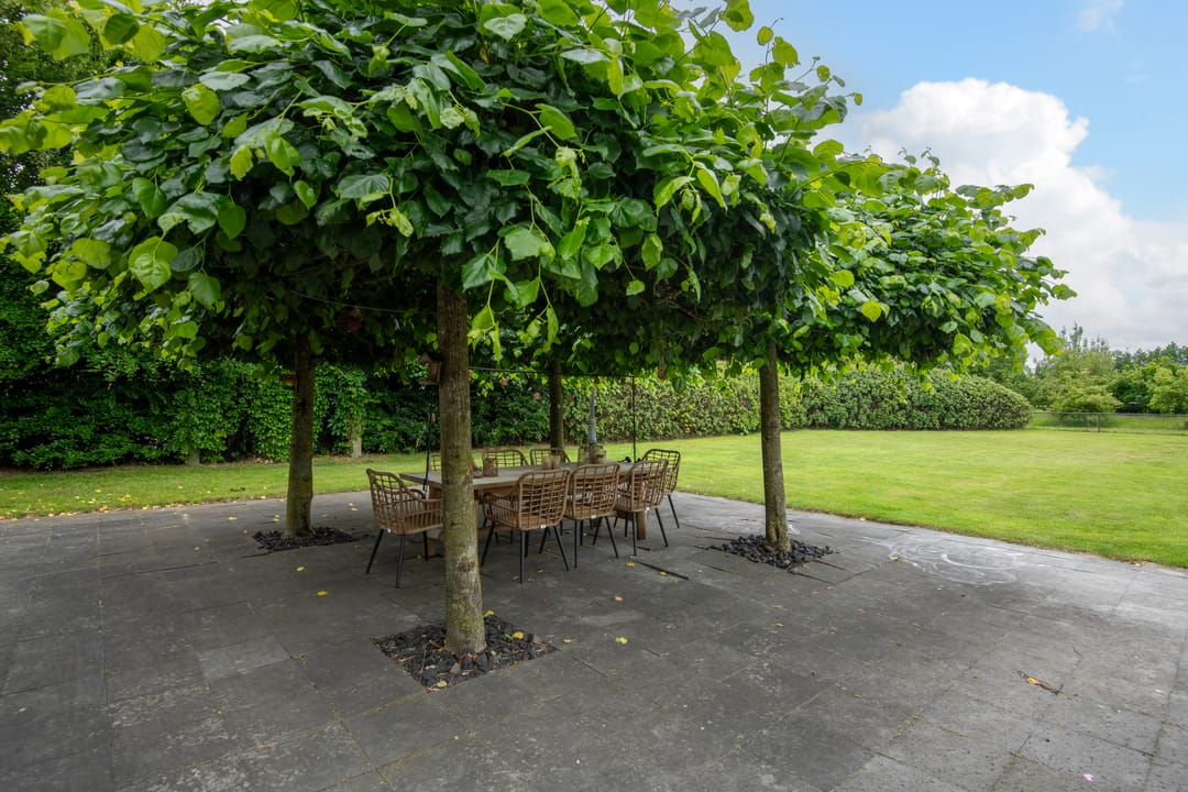 Photo 41 of Nieuwe Kerkstraat 9