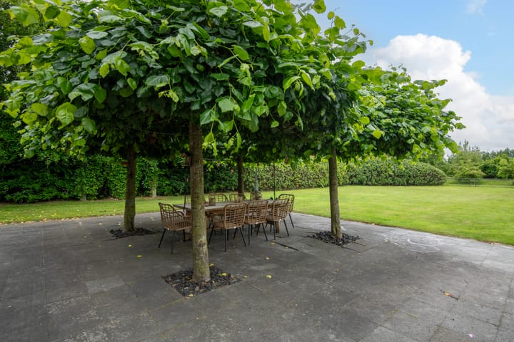 Foto 41 van Nieuwe Kerkstraat 9