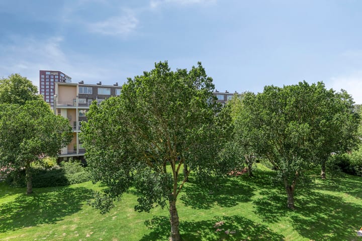 Foto 23 van Meppelweg 497