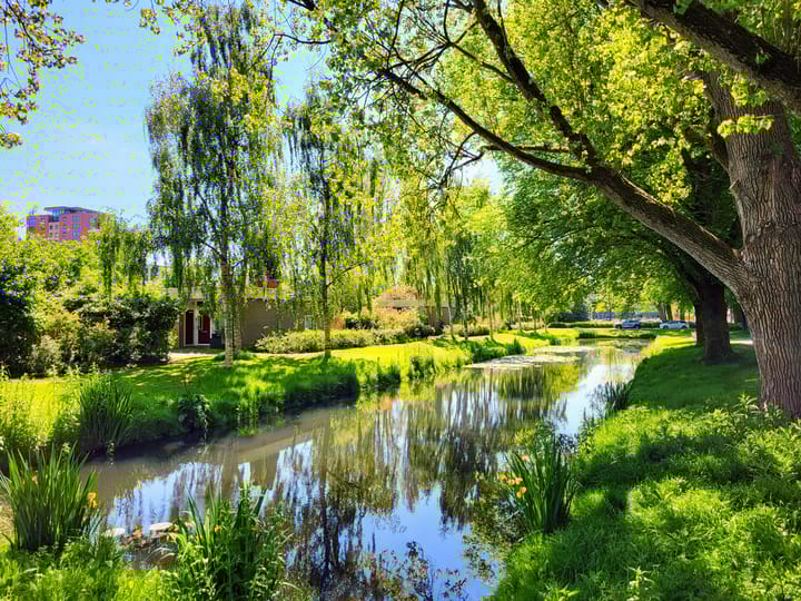 Photo 16 of Lindenhof 21