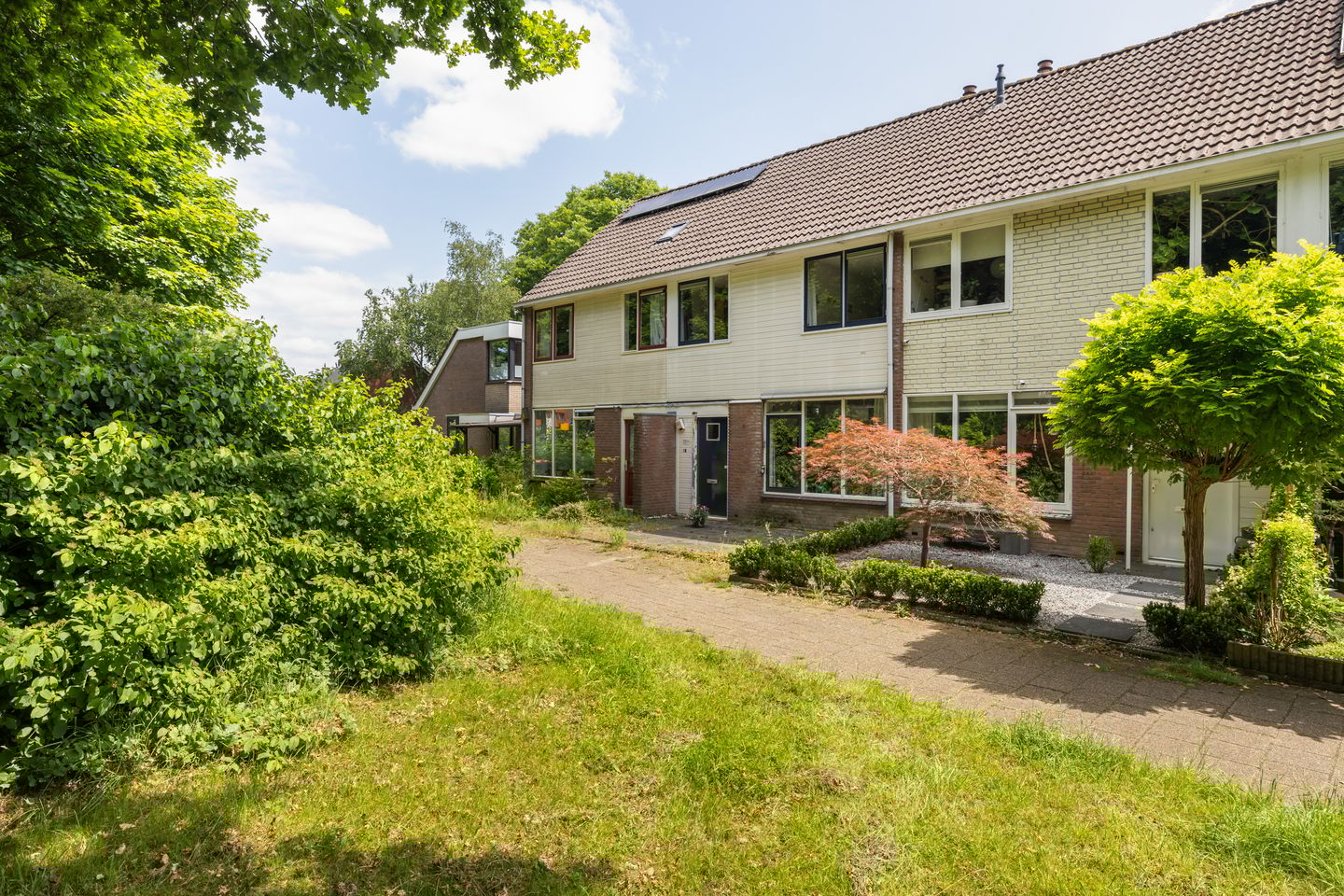 Crosestein 3326 main image