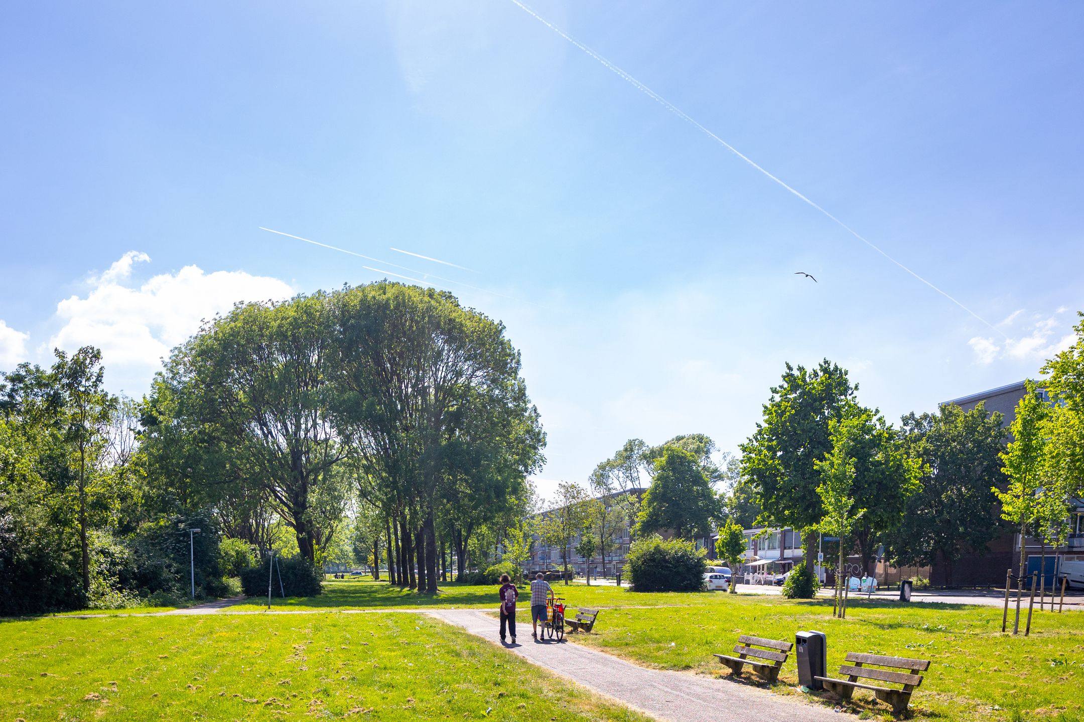 Photo 30 of Aziëlaan 318