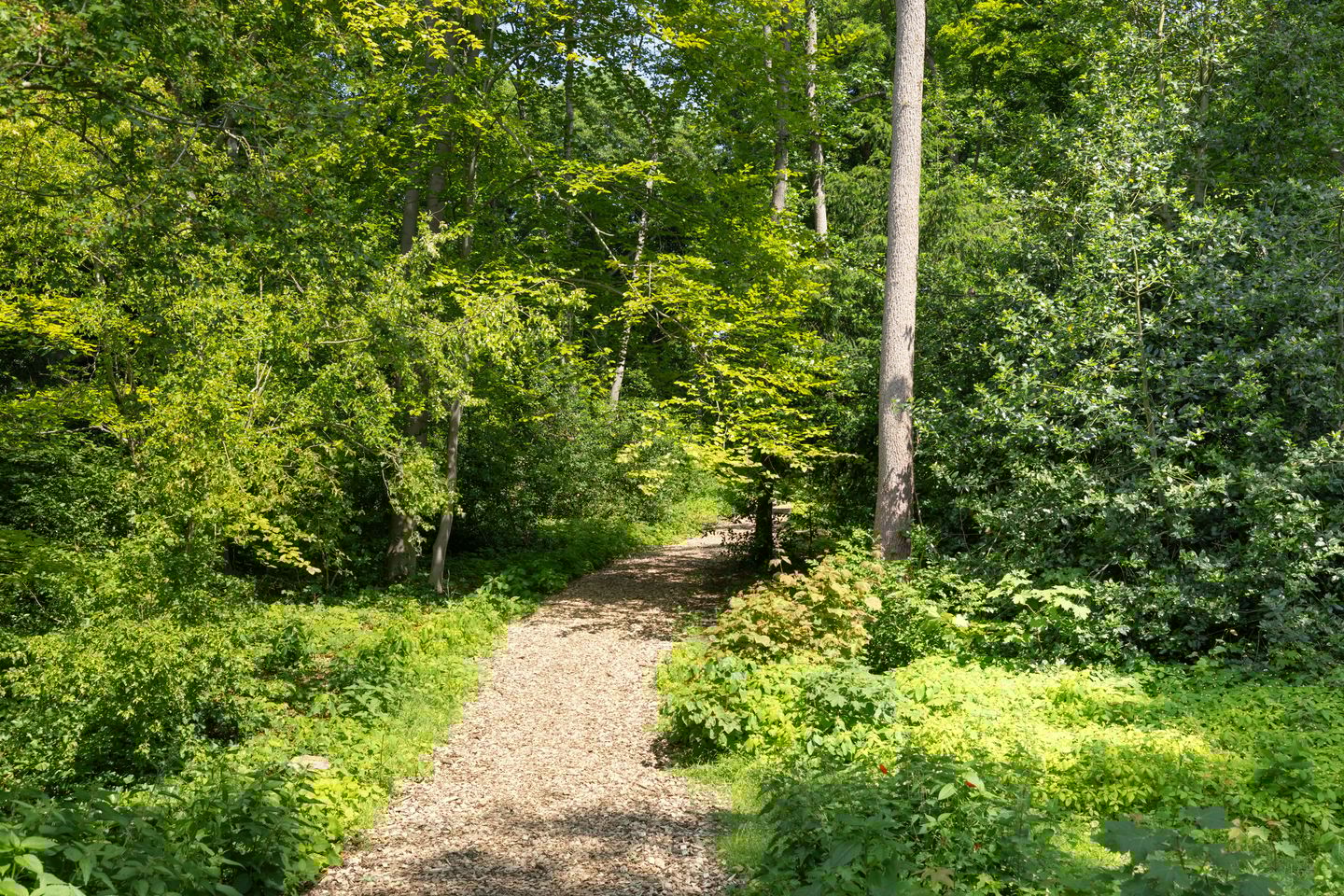 Foto 35 van Crosestein 3326