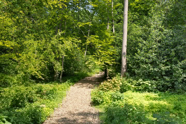 Foto 35 van Crosestein 3326