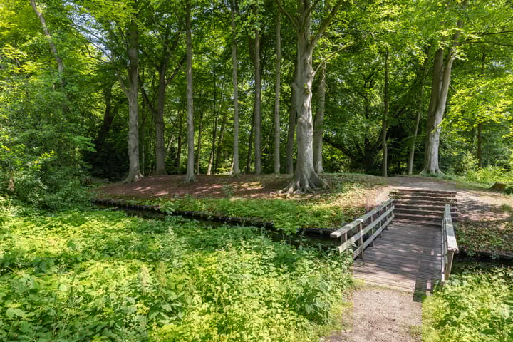 Foto 36 van Crosestein 3326