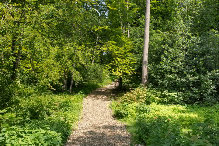 Foto 34 van Crosestein 3326