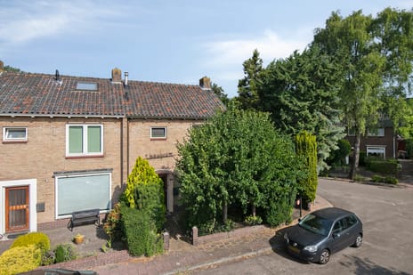 undefined main image