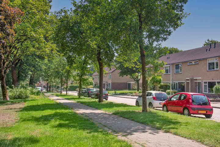 Foto 25 van Casparus B.J. Landweerlaan 12