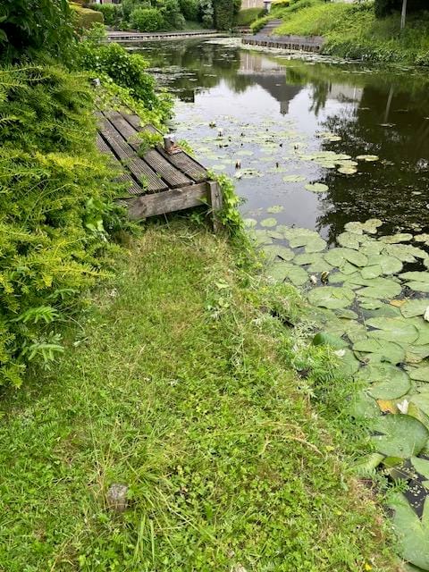 Foto 47 van Binnenhof 3