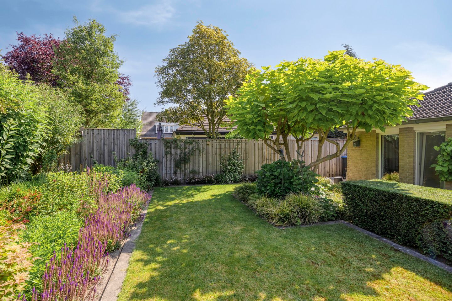 Photo 35 of Burgemeester Kolfschotenstraat 9