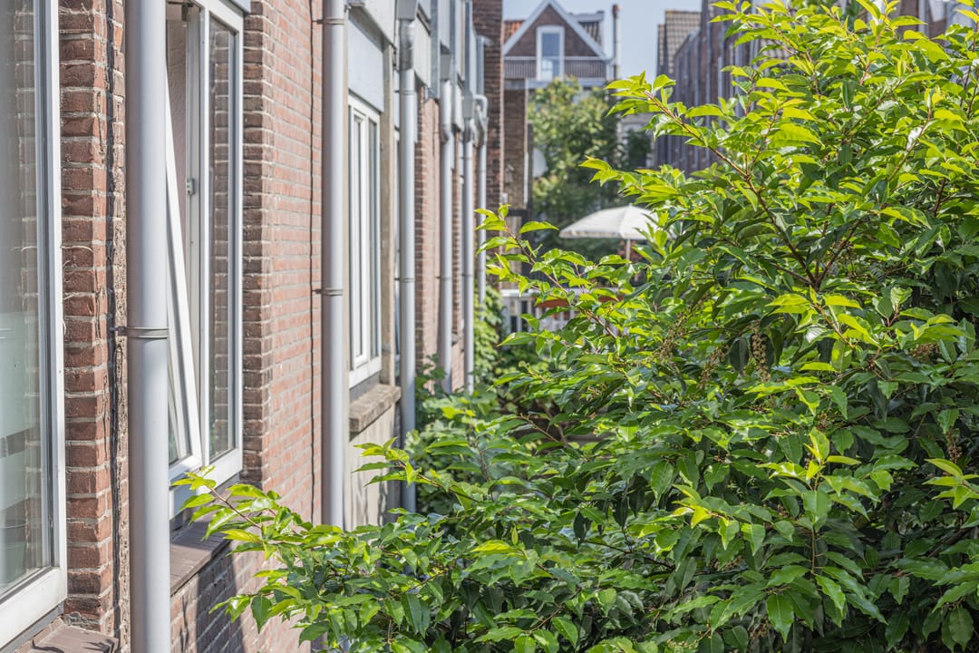 Foto 32 van Adamshofstraat 122