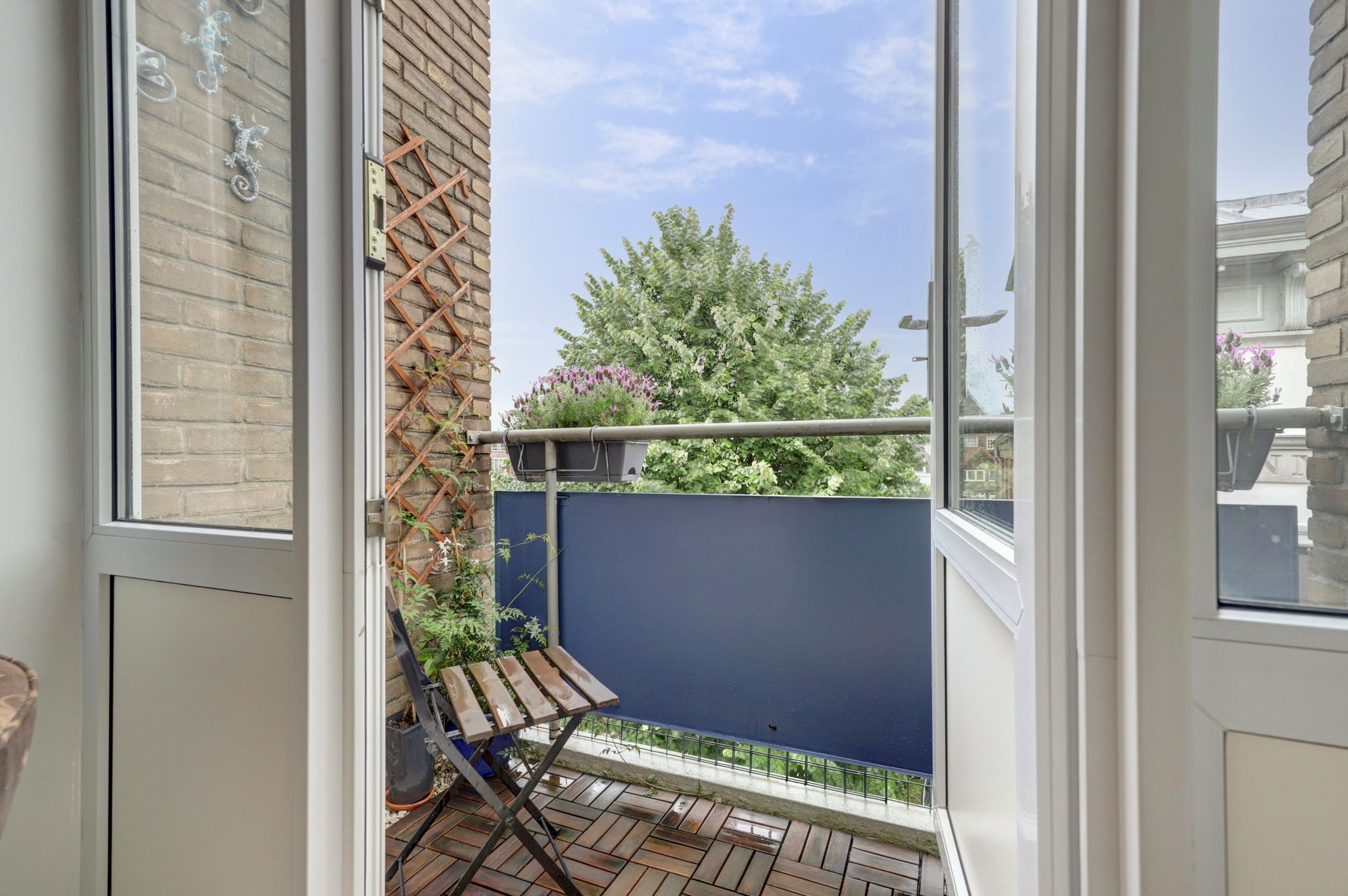 Foto 21 van Wijnstraat 195