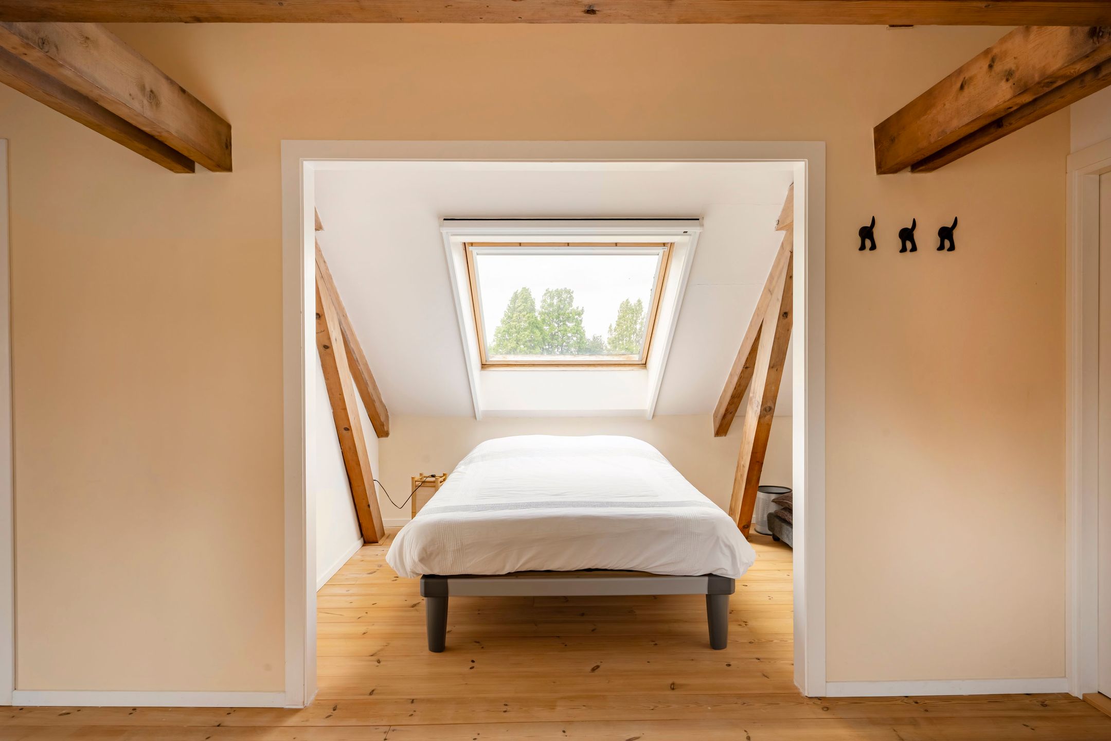 Foto 48 van Opperduit 146